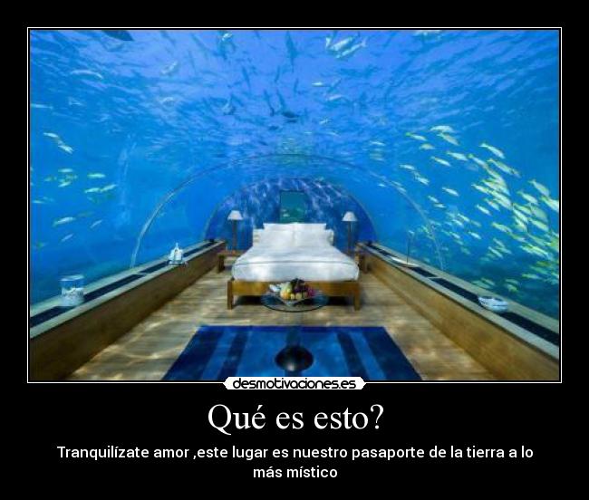 Qué es esto? - Tranquilízate amor ,este lugar es nuestro pasaporte de la tierra a lo más místico♥