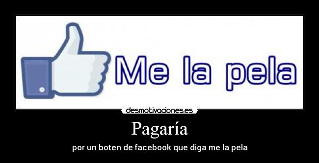 Pagaría - por un boten de facebook que diga me la pela