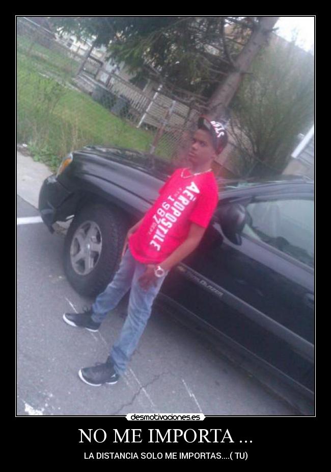 carteles thuz gatitha concentiha desmotivaciones