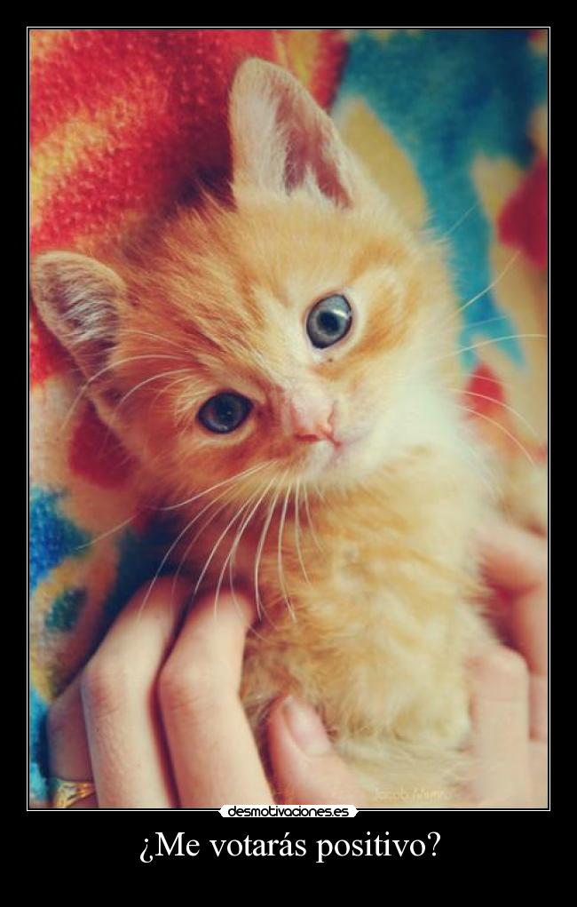 carteles esperemos que todos digan oiiiiinnnsss hagan asi tenga princi sea positibillonario pero nah desmotivaciones