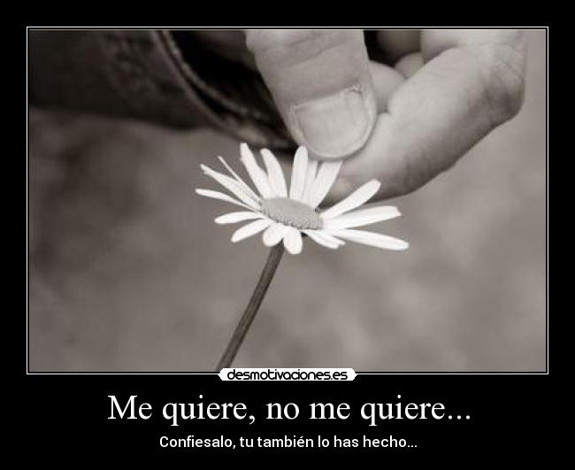 Me quiere, no me quiere... - Confiesalo, tu también lo has hecho...