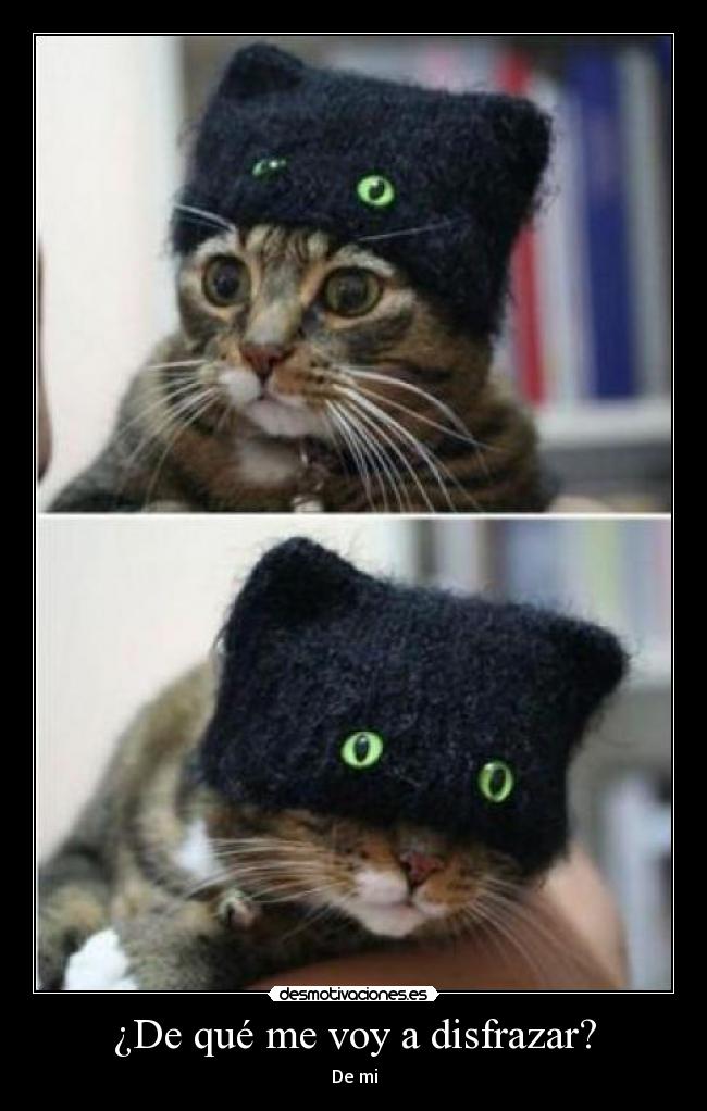 ¿De qué me voy a disfrazar? -