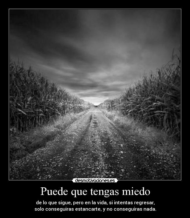 Puede que tengas miedo -