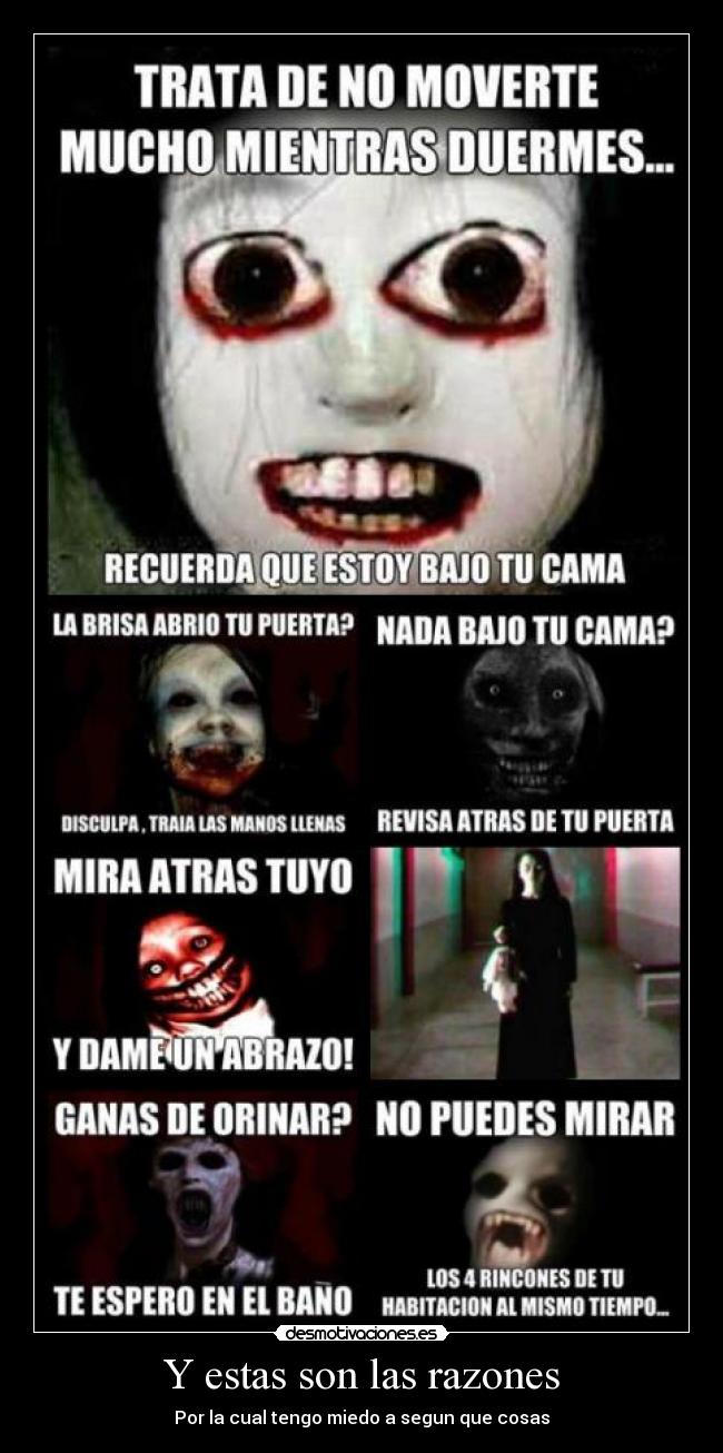 Y estas son las razones -