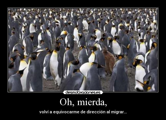 carteles que cojones hace ahi marsupial efejota desmotivaciones