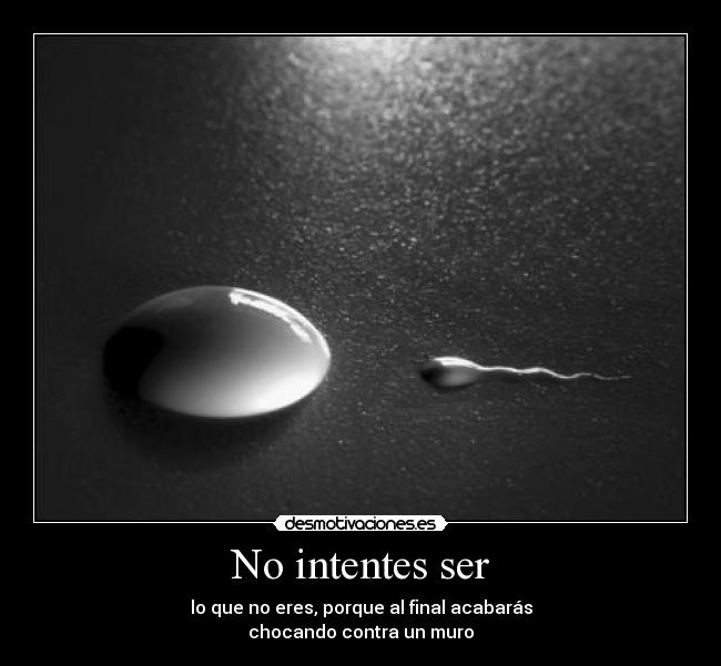 No intentes ser - lo que no eres, porque al final acabarás
chocando contra un muro