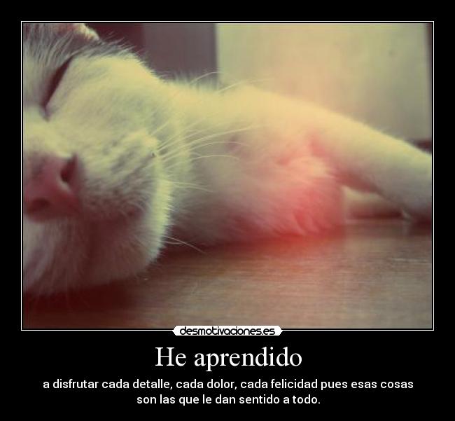 He aprendido -