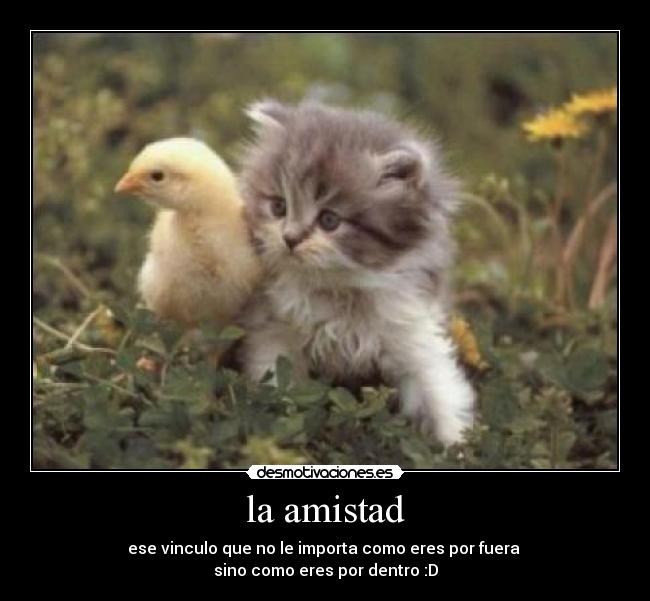 la amistad -