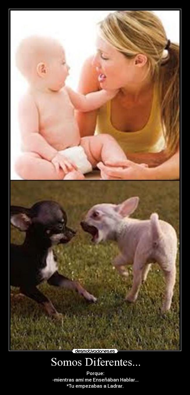 Somos Diferentes... -