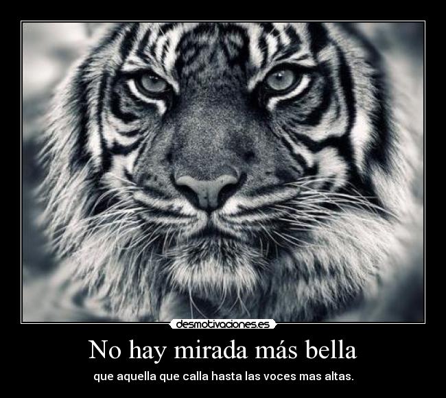 No hay mirada más bella -