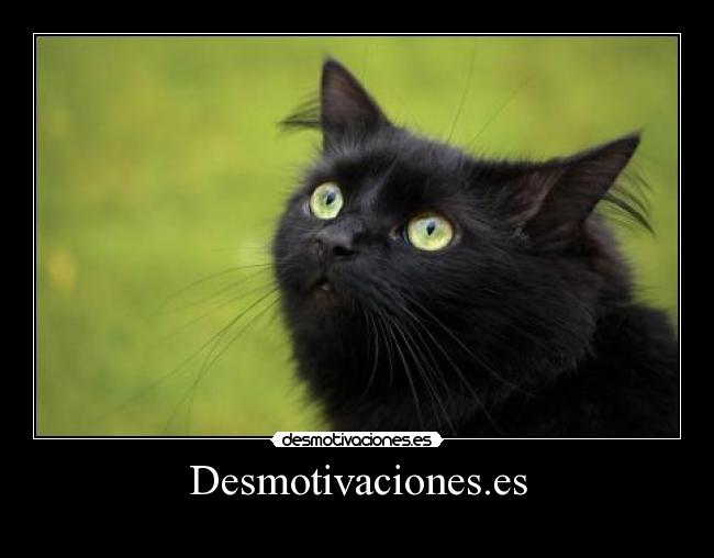 Desmotivaciones.es -