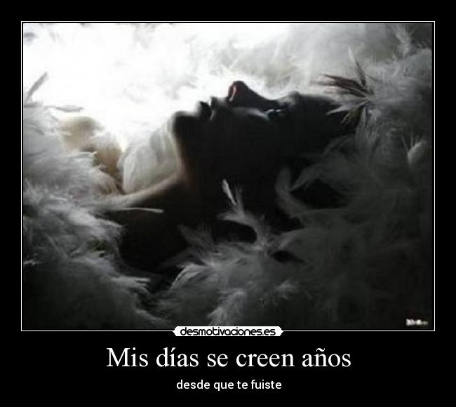 carteles mis dias creen anos desde que fuiste agente00cerdo desmotivaciones