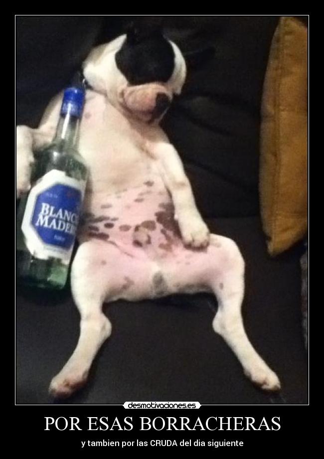 POR ESAS BORRACHERAS -