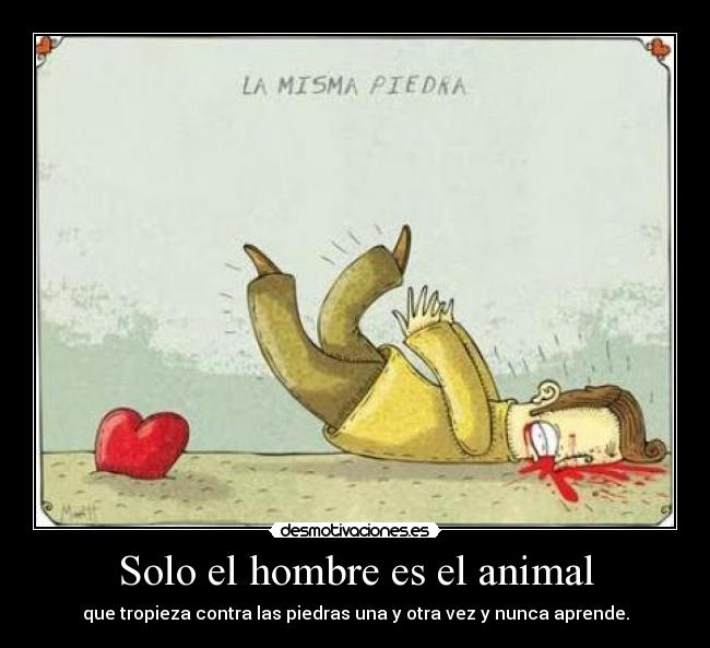 Solo el hombre es el animal - que tropieza contra las piedras una y otra vez y nunca aprende.