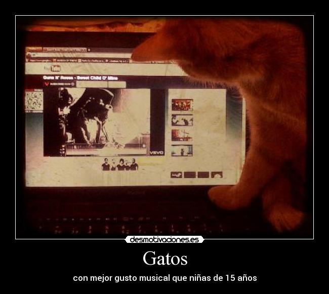 Gatos -