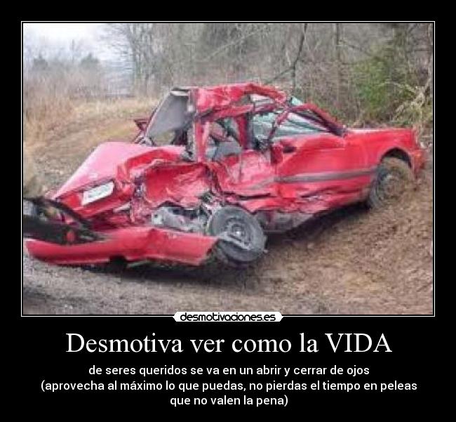 Desmotiva ver como la VIDA - de seres queridos se va en un abrir y cerrar de ojos
(aprovecha al máximo lo que puedas, no pierdas el tiempo en peleas
que no valen la pena)