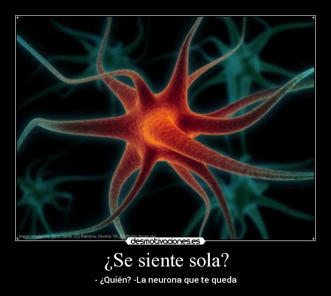 ¿Se siente sola? - - ¿Quién? -La neurona que te queda