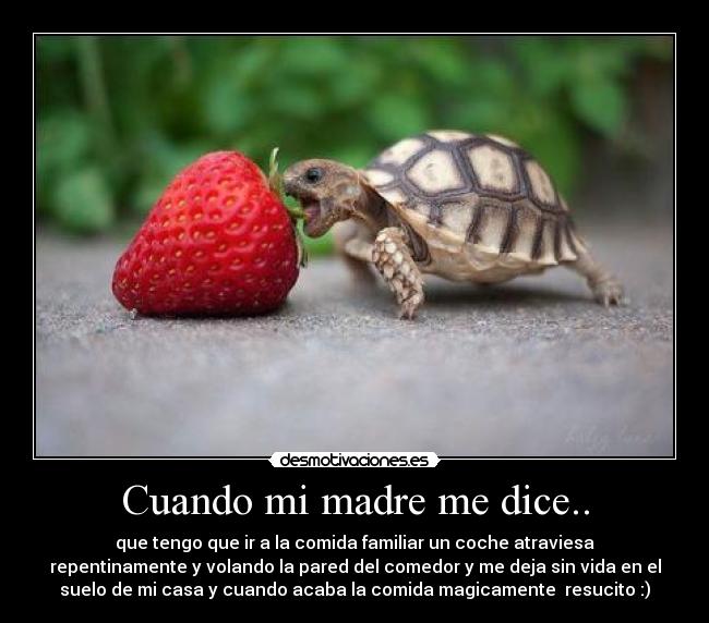 Cuando mi madre me dice.. -