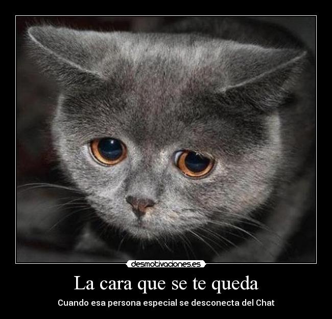 carteles triste desmotivaciones