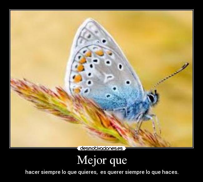 Mejor que - hacer siempre lo que quieres, es querer siempre lo que haces.