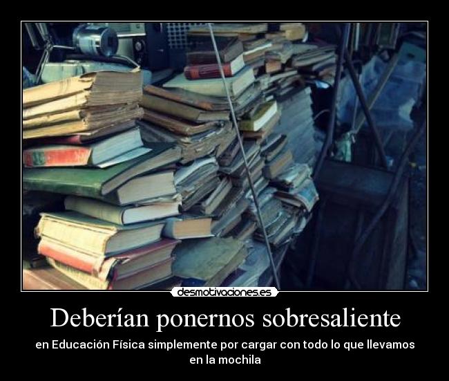 Deberían ponernos sobresaliente - 