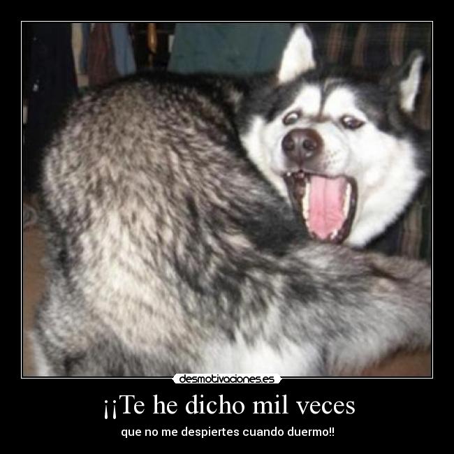 ¡¡Te he dicho mil veces - 