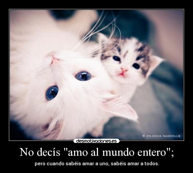 No decís amo al mundo entero; - pero cuando sabéis amar a uno, sabéis amar a todos.