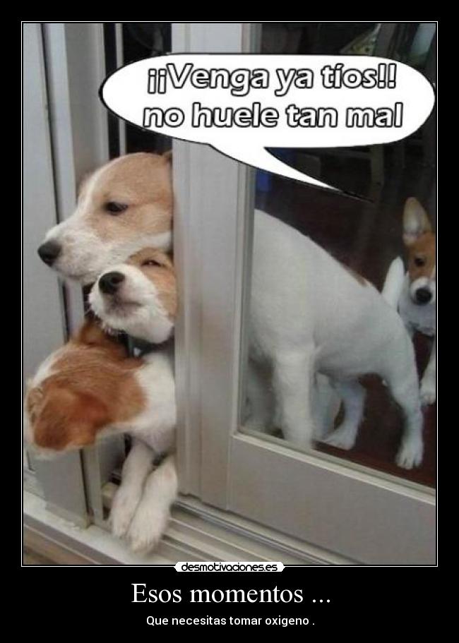 Esos momentos ... - 