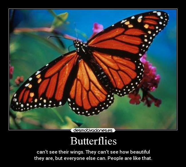 carteles butterflies beautiful people desmotivaciones