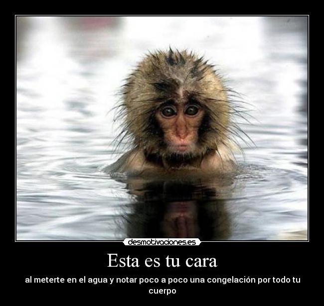 Esta es tu cara - al meterte en el agua y notar poco a poco una congelación por todo tu cuerpo