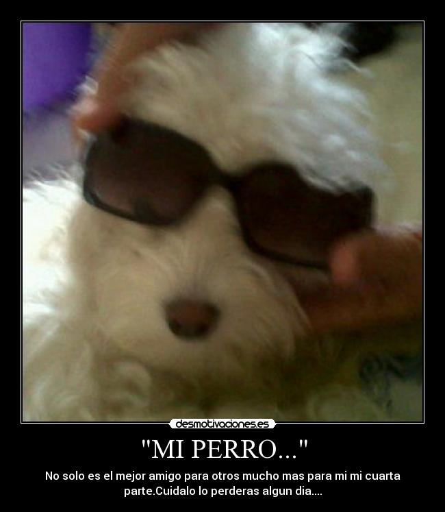 carteles desmotivaciones