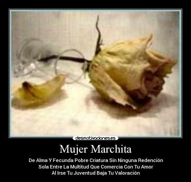 Mujer Marchita - De Alma Y Fecunda Pobre Criatura Sin Ninguna Redención
Sola Entre La Multitud Que Comercia Con Tu Amor
Al Irse Tu Juventud Baja Tu Valoración