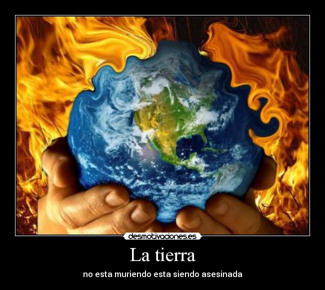 La tierra - no esta muriendo esta siendo asesinada
