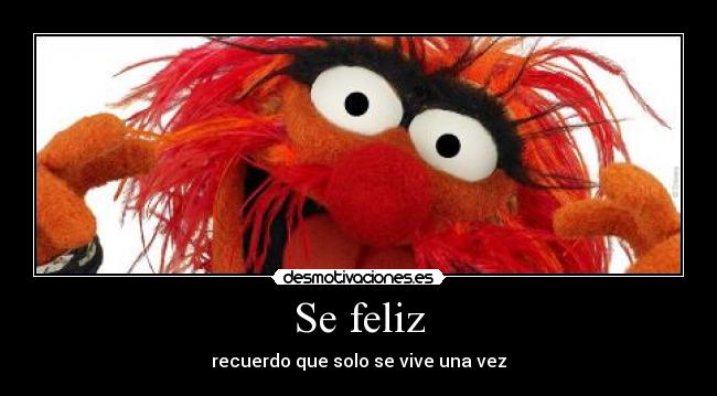 Se feliz - recuerdo que solo se vive una vez