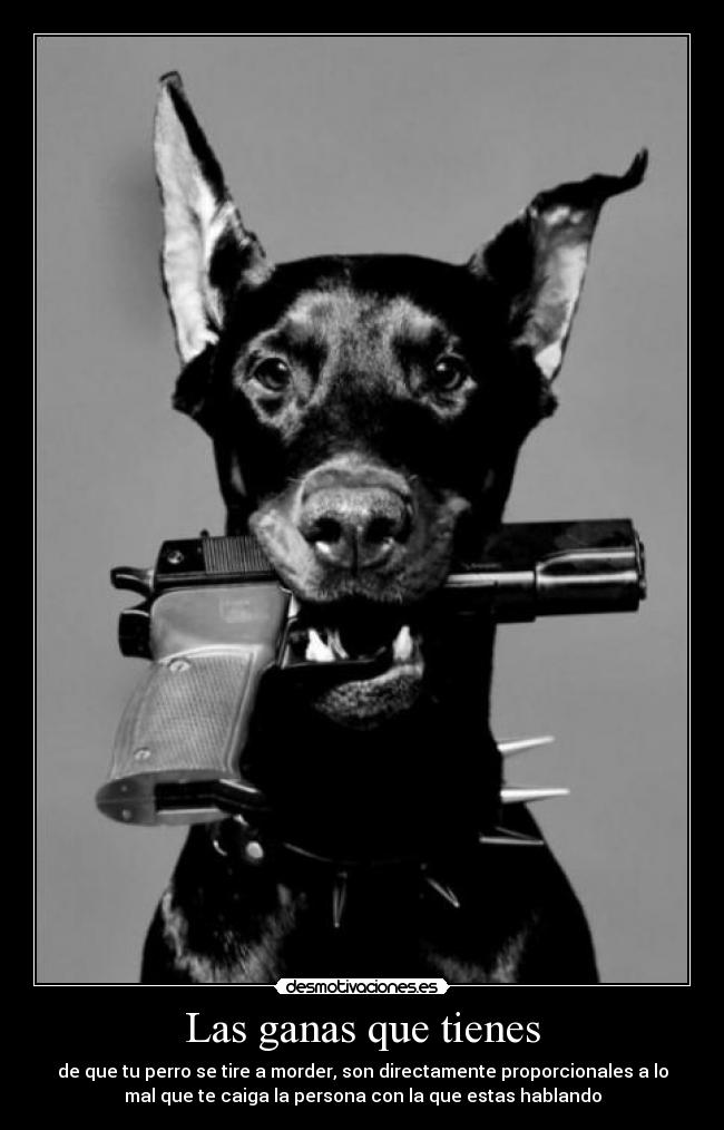 carteles jon desmotivaciones