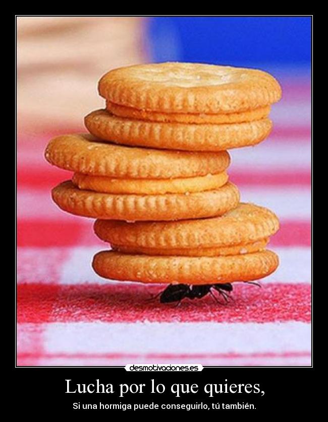 Lucha por lo que quieres, - Si una hormiga puede conseguirlo, tú también.