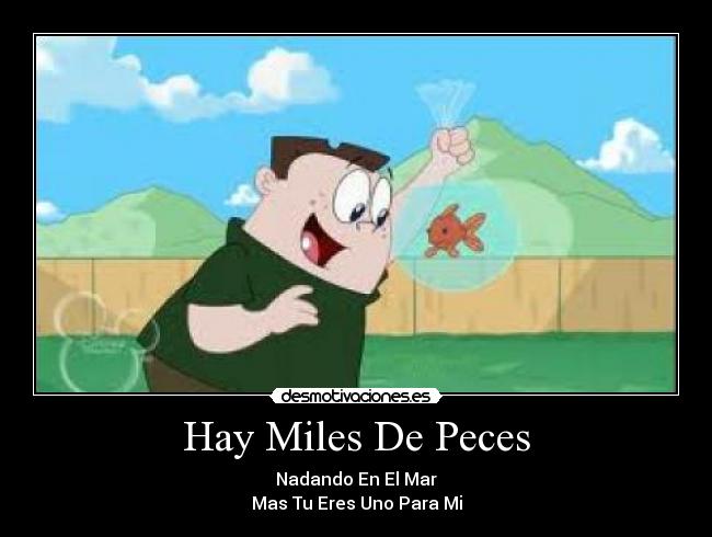 Hay Miles De Peces - 