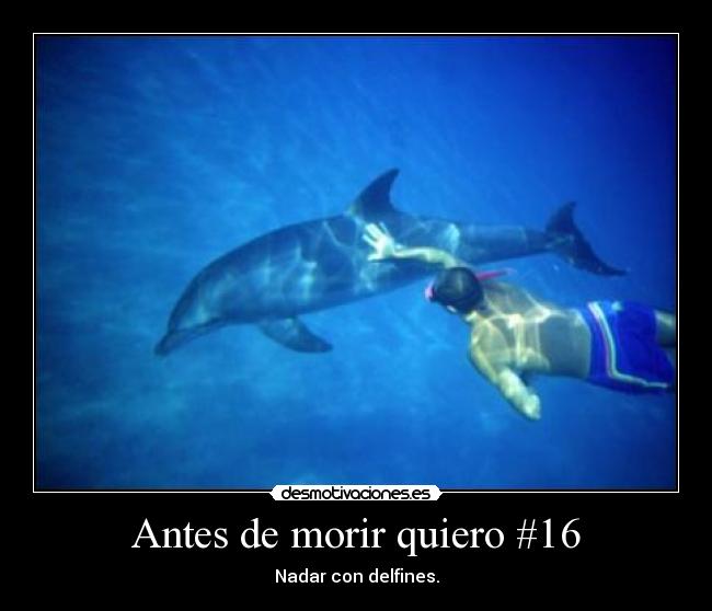 Antes de morir quiero #16 - 