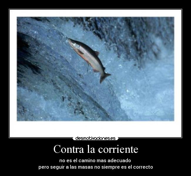 carteles importa llegar importa los metodos utilizados desmotivaciones