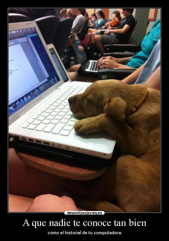 carteles compu historial desmotivaciones