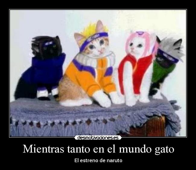 carteles mundo anime gato desmotivaciones