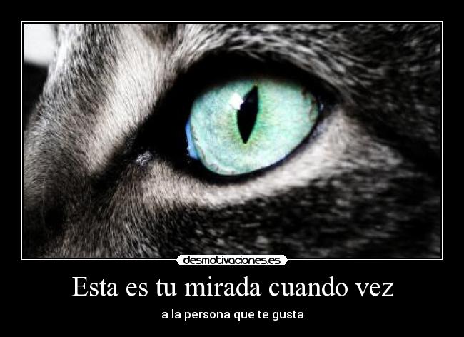 Esta es tu mirada cuando vez -