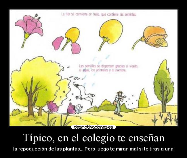 Típico, en el colegio te enseñan - la repoducción de las plantas... Pero luego te miran mal si te tiras a una.