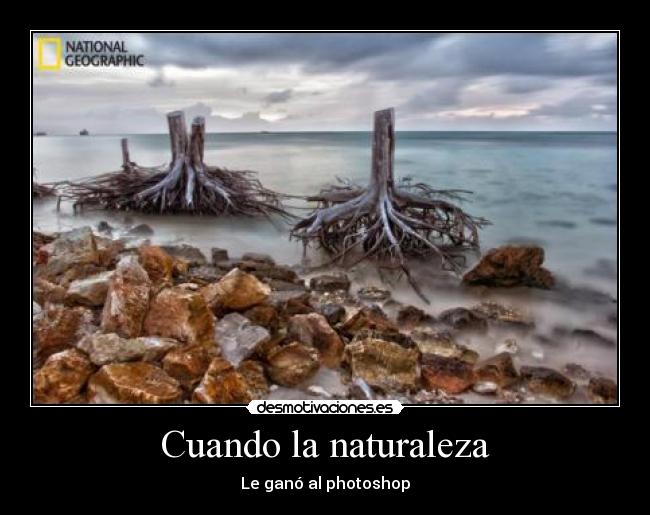 Cuando la naturaleza - 