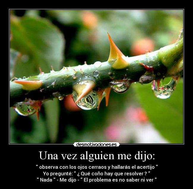 Una vez alguien me dijo: - observa con los ojos cerraos y hallarás el acertijo
Yo pregunté: ¿ Qué coño hay que resolver ?
Nada - Me dijo - El problema es no saber ni ver
