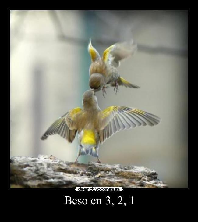 Beso en 3, 2, 1 - 