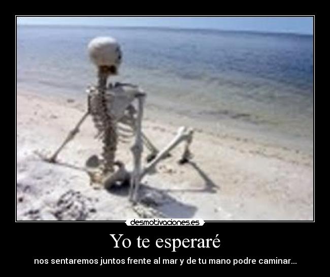 Yo te esperaré - 
