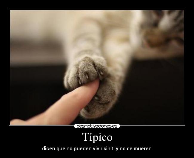 Típico - dicen que no pueden vivir sin ti y no se mueren.