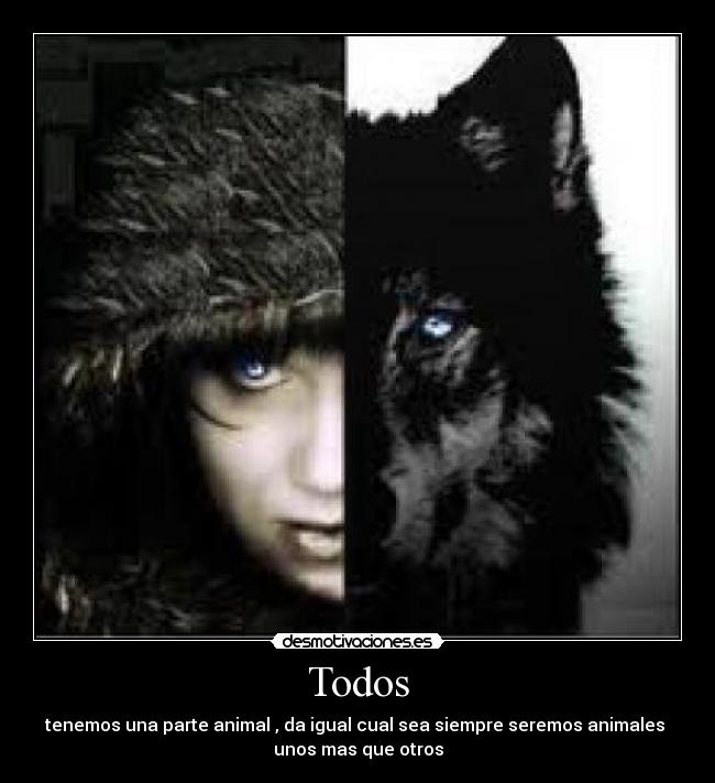 carteles todos desmotivaciones