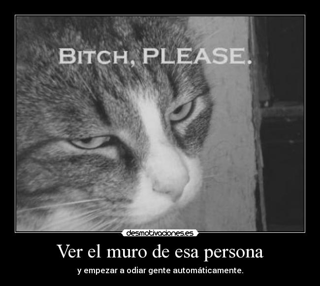 Ver el muro de esa persona - y empezar a odiar gente automáticamente.